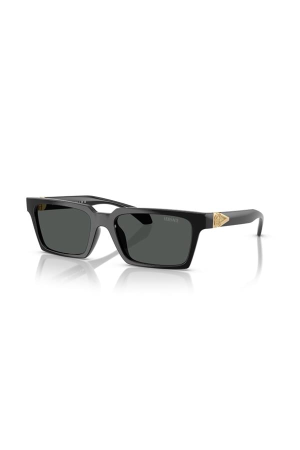 Versace 0VE 4490U GB1/87 55 Erkek Güneş Gözlüğü