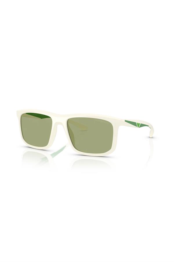 Emporio Armani 0EA 4234U 618782 57 Unisex Güneş Gözlüğü