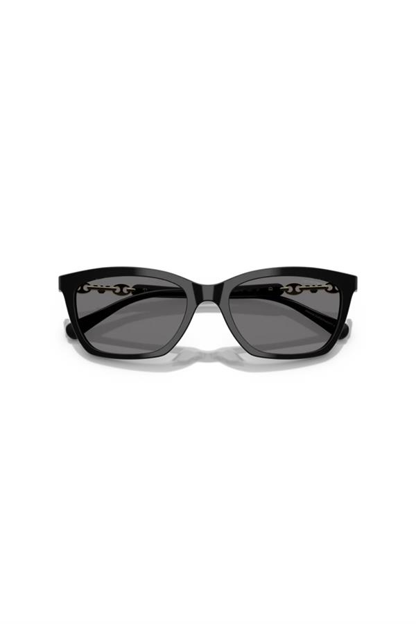 Emporio Armani 0EA 4238 501781 54 Kadın Güneş Gözlüğü