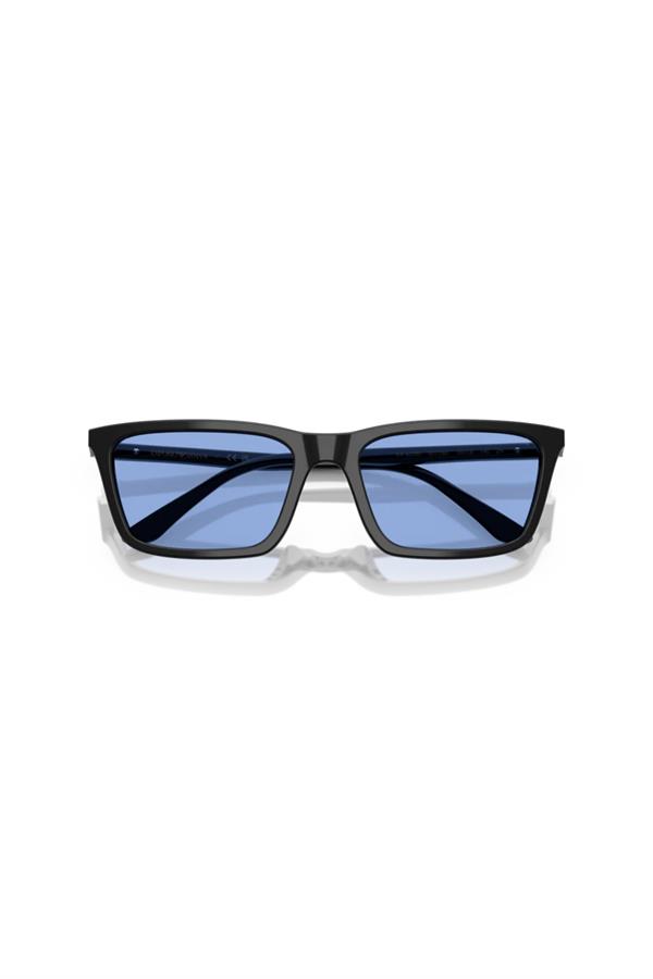 Emporio Armani 0EA 4239U 501780 55 Unisex Güneş Gözlüğü