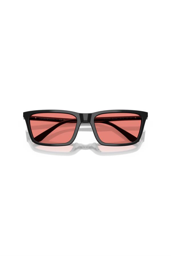 Emporio Armani 0EA 4239U 501784 55 Unisex Güneş Gözlüğü