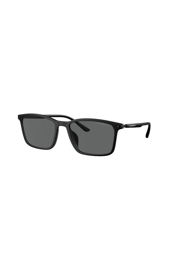Emporio Armani 0EA4223U 500187 56 Güneş Gözlüğü