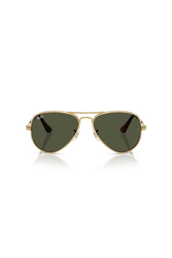 Ray-Ban 0RB 3925 001/31 62 Unisex Güneş Gözlüğü