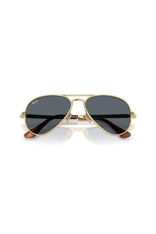 Ray-Ban 0RB 3925 001/R5 58 Unisex Güneş Gözlüğü