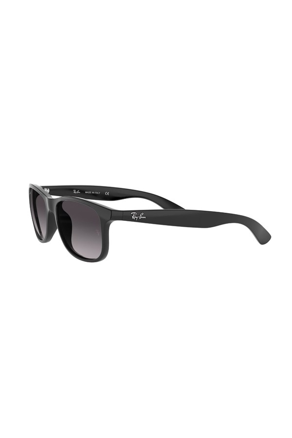 Ray-Ban 0RB 4202 601/8G 55 Erkek Güneş Gözlüğü