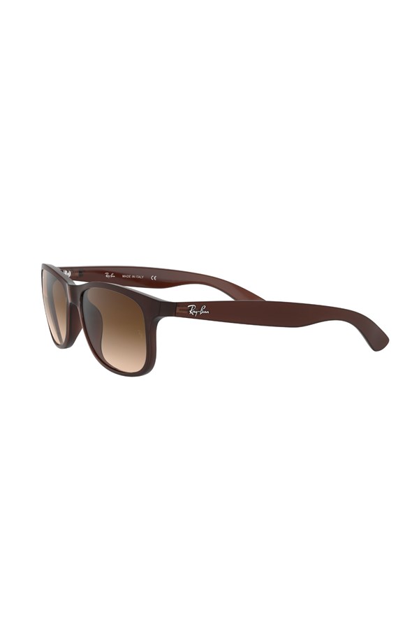 Ray-Ban 0RB 4202 607313 55 Unisex Güneş Gözlüğü