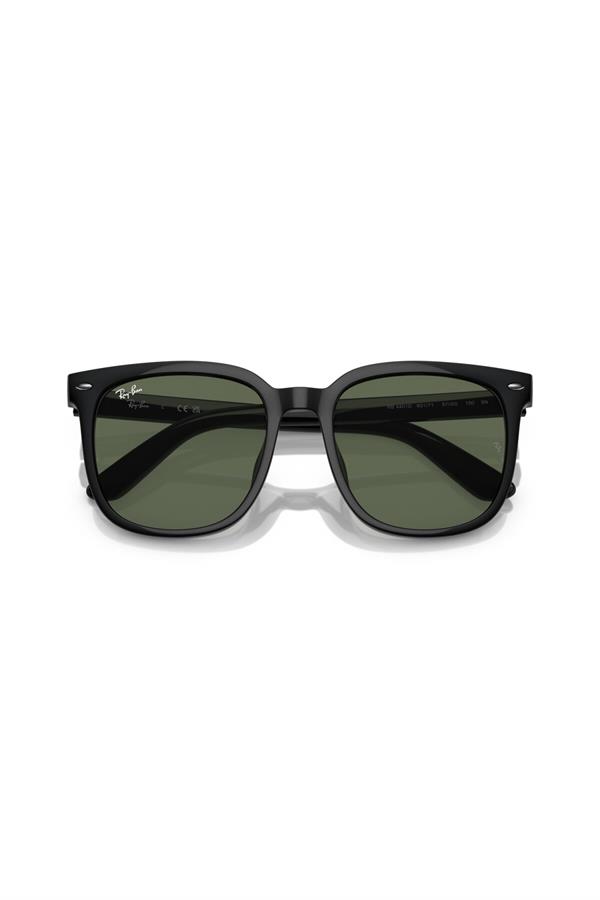 Ray-Ban 0RB 4401D 601/71 55 Kadın Güneş Gözlüğü