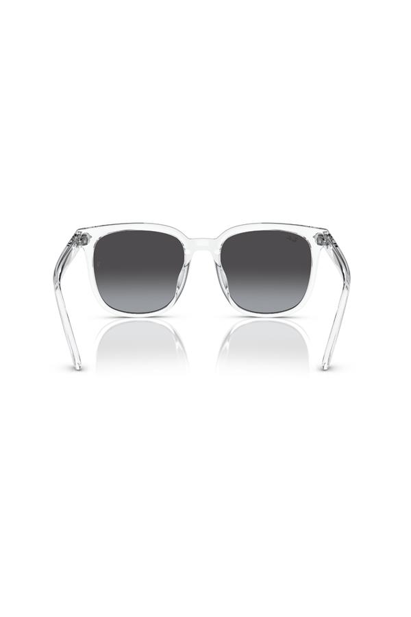 Ray-Ban 0RB 4401D 64478G 55 Unisex Güneş Gözlüğü