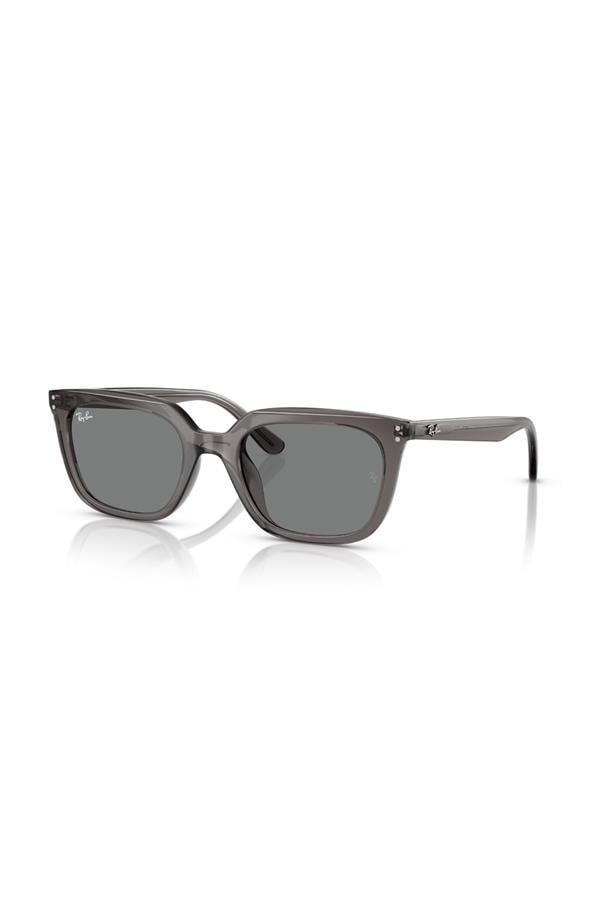Ray-Ban 0RB 4439D 667587 54