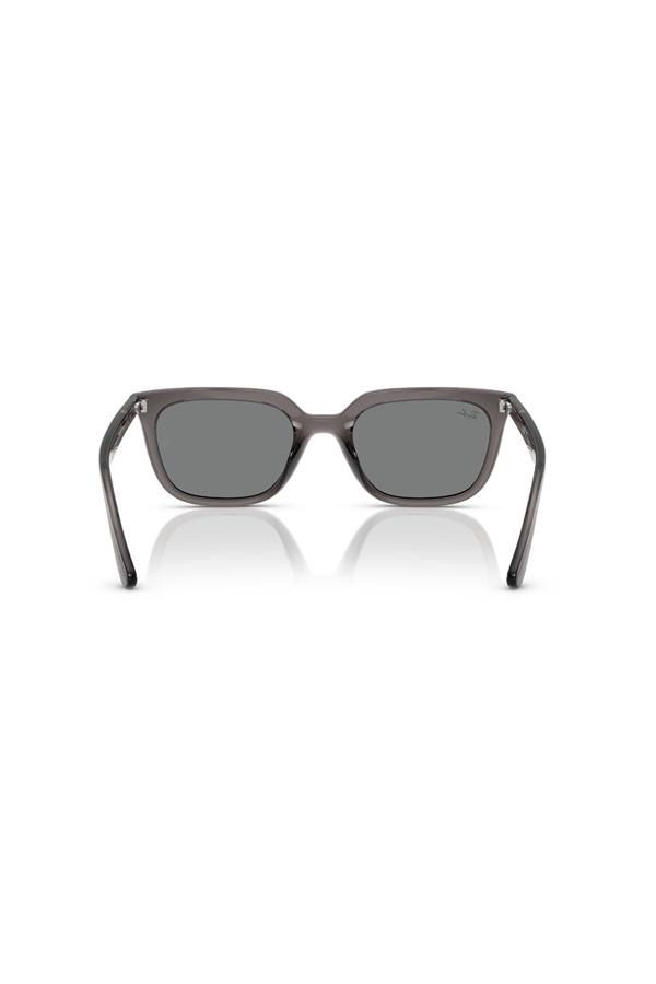 Ray-Ban 0RB 4439D 667587 54