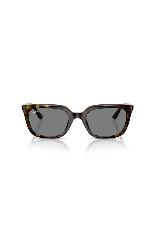 Ray-Ban 0RB 4439D 710/87 54 Unisex Güneş Gözlüğü