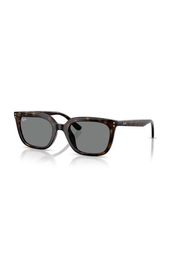 Ray-Ban 0RB 4439D 710/87 54 Unisex Güneş Gözlüğü