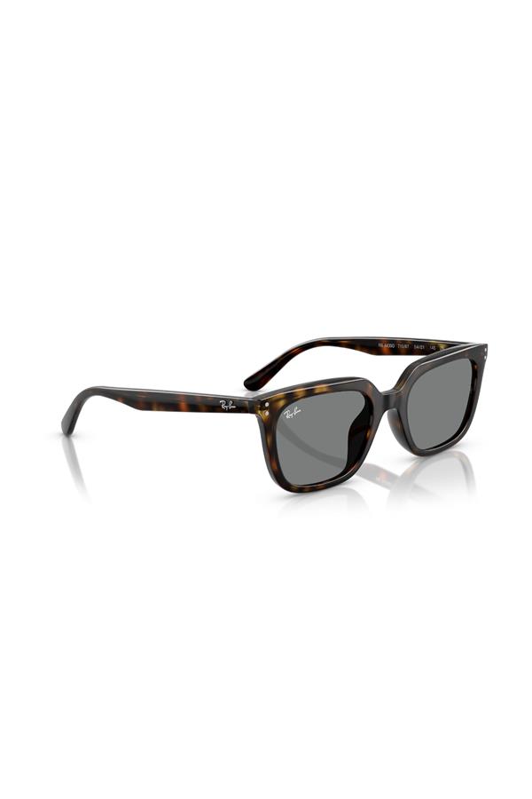 Ray-Ban 0RB 4439D 710/87 54 Unisex Güneş Gözlüğü