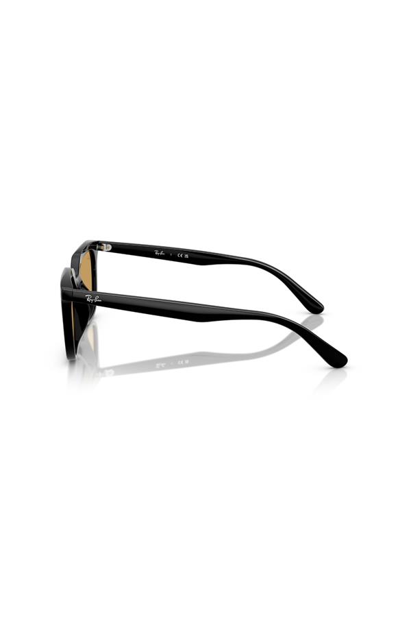 Ray-Ban 0RB 4439D 901/73 54 Unisex Güneş Gözlüğü