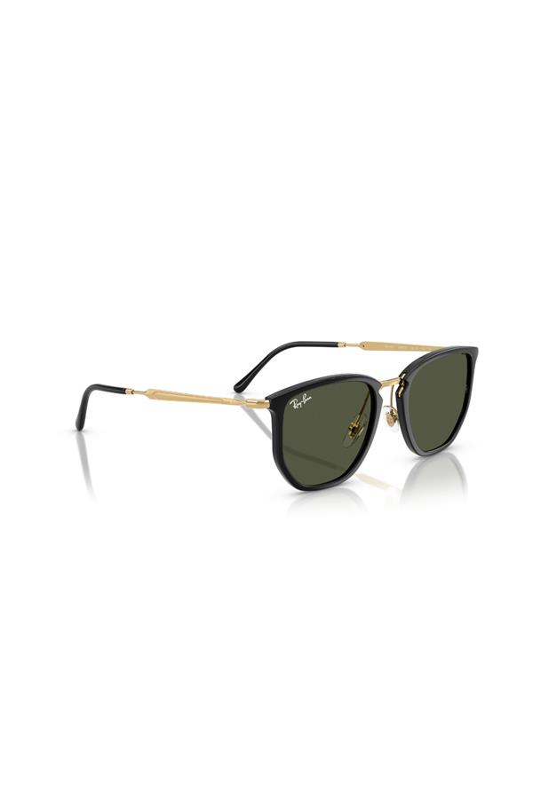 Ray-Ban 0RB 4451 630631 50 Unisex Güneş Gözlüğü