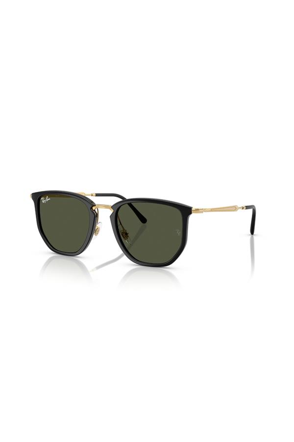 Ray-Ban 0RB 4451 630631 53 Unisex Güneş Gözlüğü