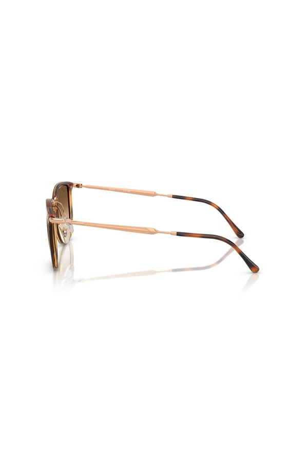 Ray-Ban 0RB 4451 680451 53 Unisex Güneş Gözlüğü