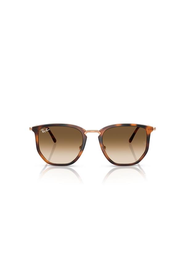 Ray-Ban 0RB 4451 680451 53 Unisex Güneş Gözlüğü