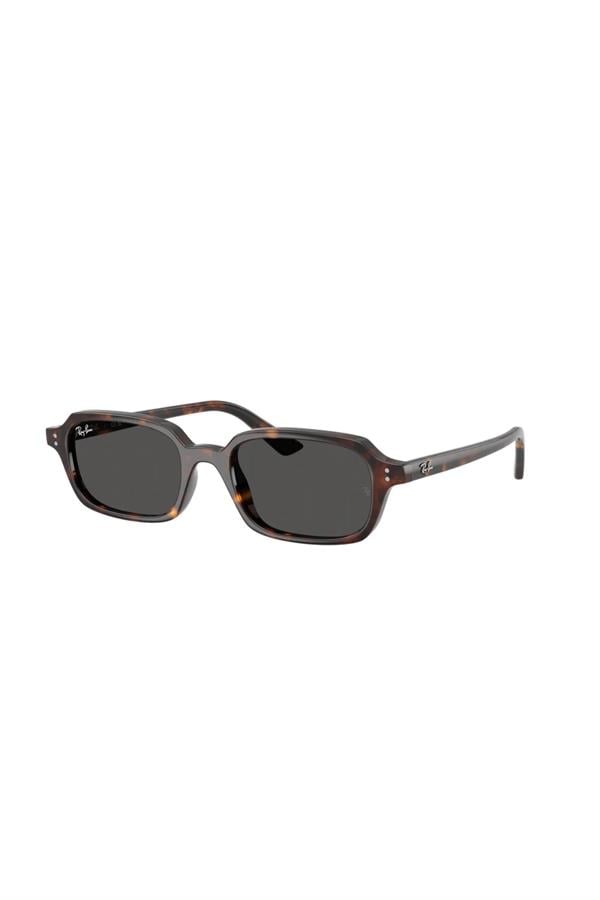 Ray-Ban 0RB 4455 135987 49 Unisex Güneş Gözlüğü