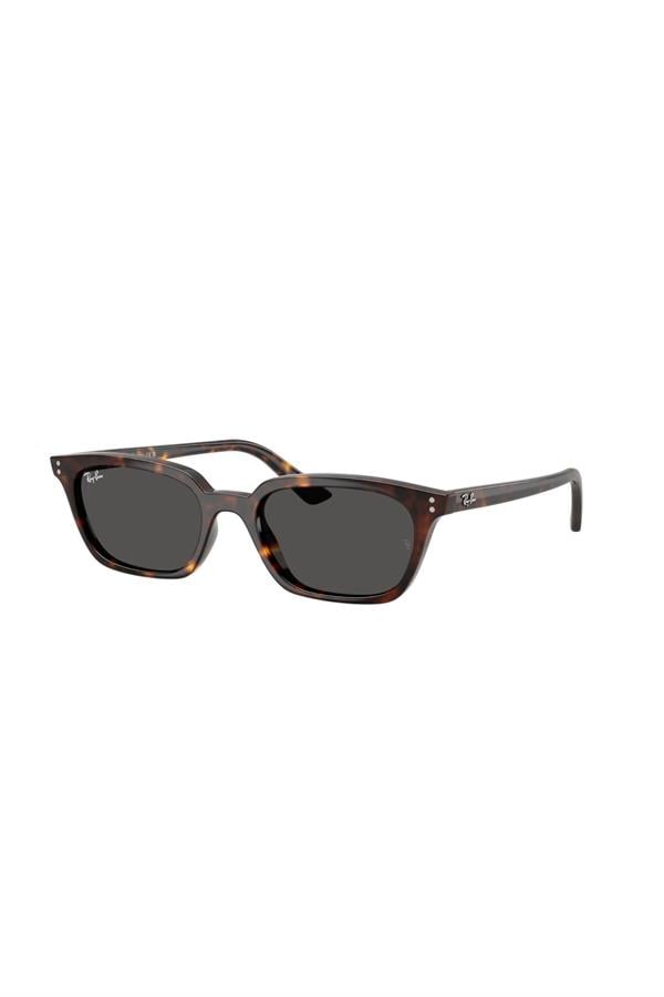 Ray-Ban 0RB 4456 135987 50 Unisex Güneş Gözlüğü