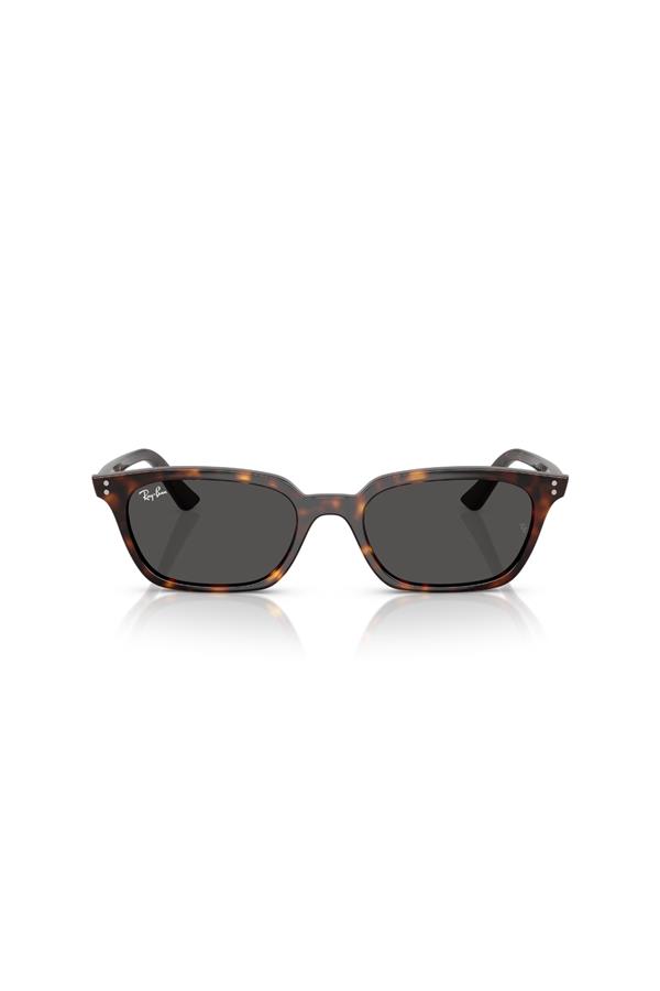 Ray-Ban 0RB 4456 135987 53 Unisex Güneş Gözlüğü