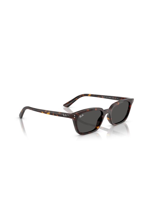 Ray-Ban 0RB 4456 135987 53 Unisex Güneş Gözlüğü