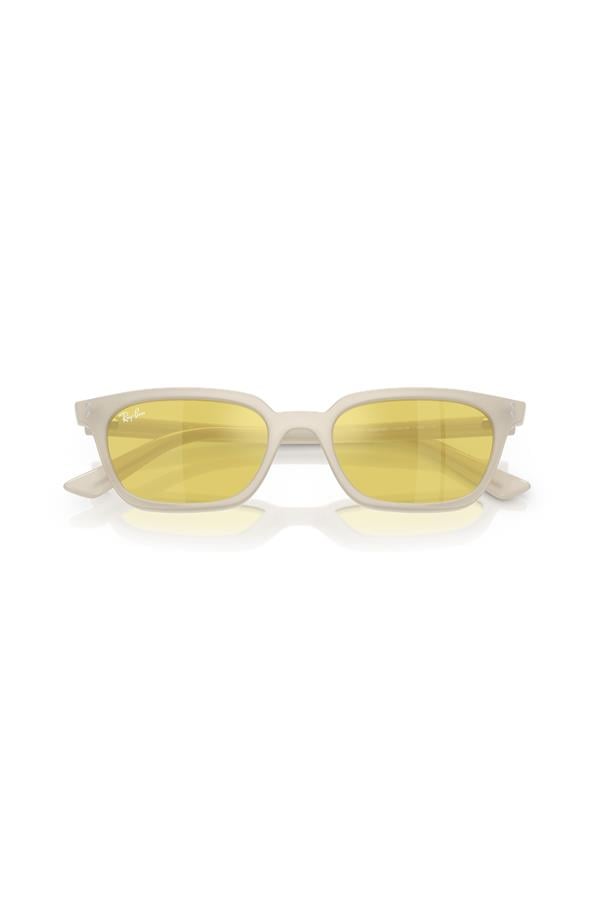 Ray-Ban 0RB 4456 68086D 53 Unisex Güneş Gözlüğü