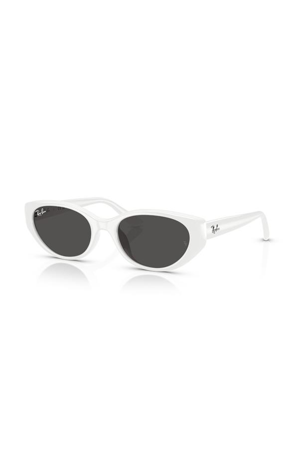 Ray-Ban 0RB 4457D 677287 55 Unisex Güneş Gözlüğü