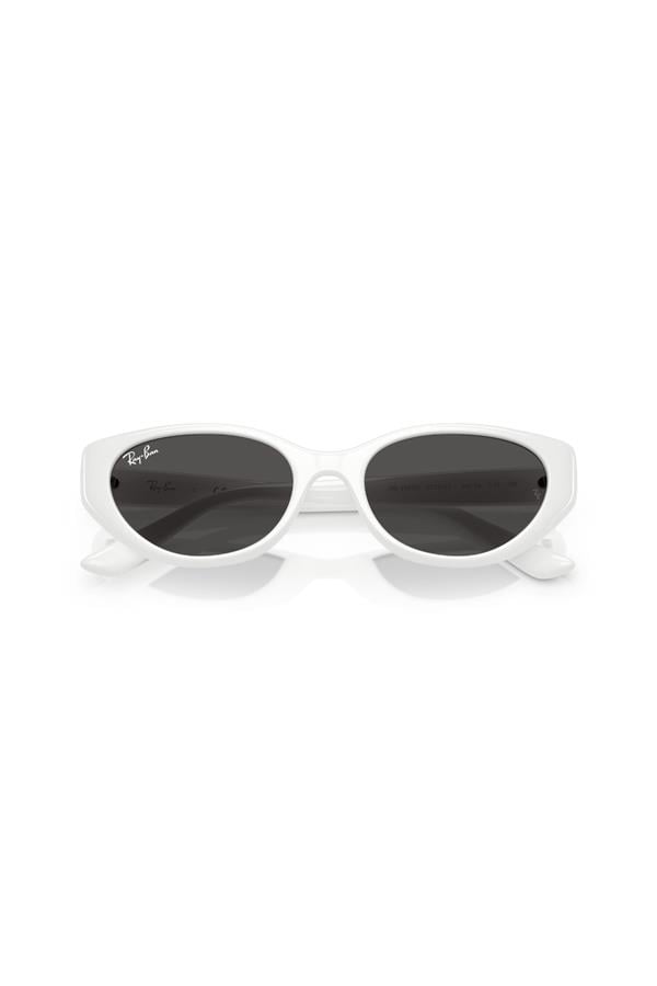 Ray-Ban 0RB 4457D 677287 55 Unisex Güneş Gözlüğü