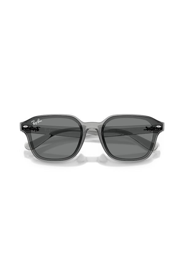 Ray-Ban 0RB 4458D 645087 65 Unisex Güneş Gözlüğü