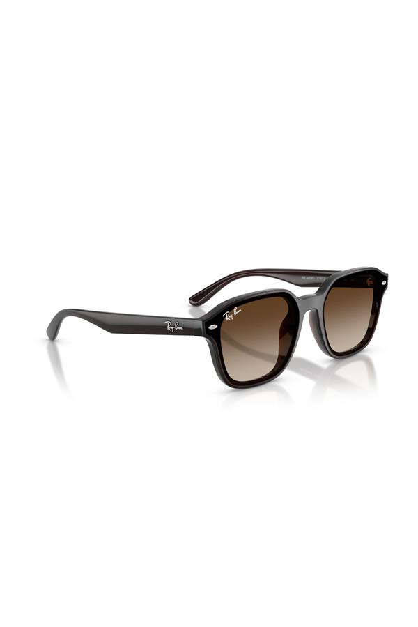 Ray-Ban 0RB 4458D 714/13 65 Unisex Güneş Gözlüğü