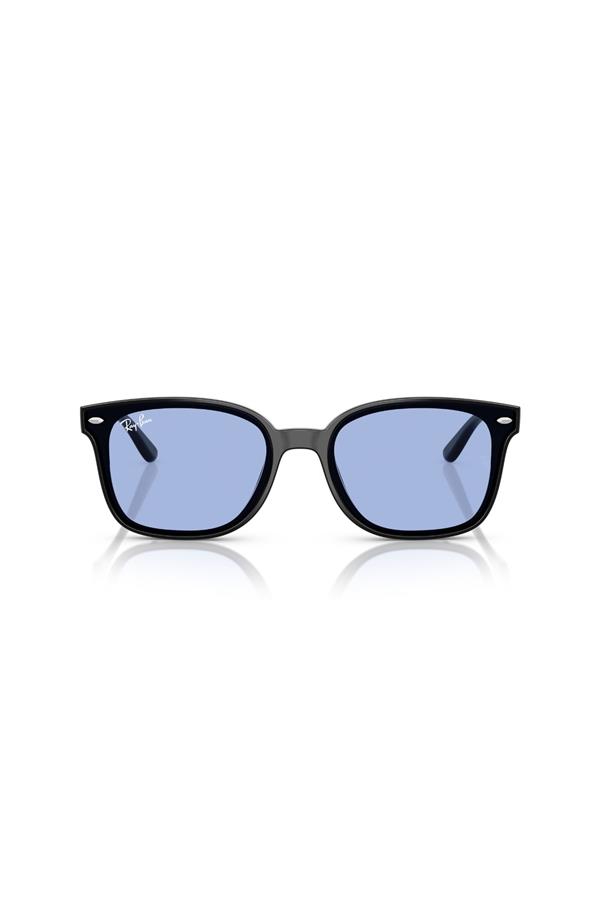 Ray-Ban 0RB 4461D 601/80 64 Unisex Güneş Gözlüğü