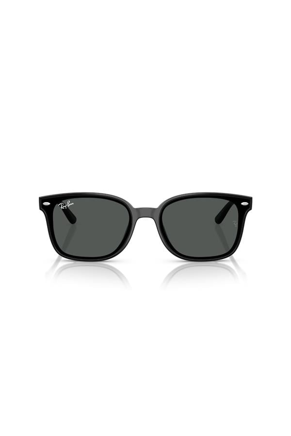 Ray-Ban 0RB 4461D 601/87 64 Unisex Güneş Gözlüğü