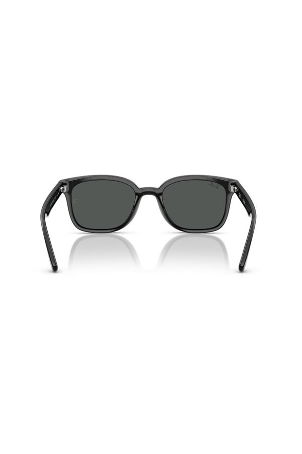 Ray-Ban 0RB 4461D 601/87 64 Unisex Güneş Gözlüğü