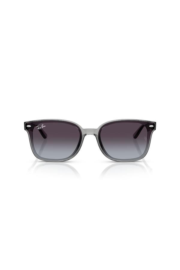 Ray-Ban 0RB 4461D 64508G 64 Unisex Güneş Gözlüğü