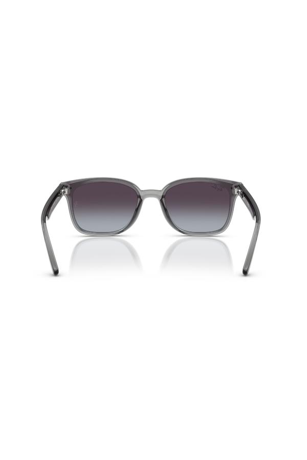 Ray-Ban 0RB 4461D 64508G 64 Unisex Güneş Gözlüğü