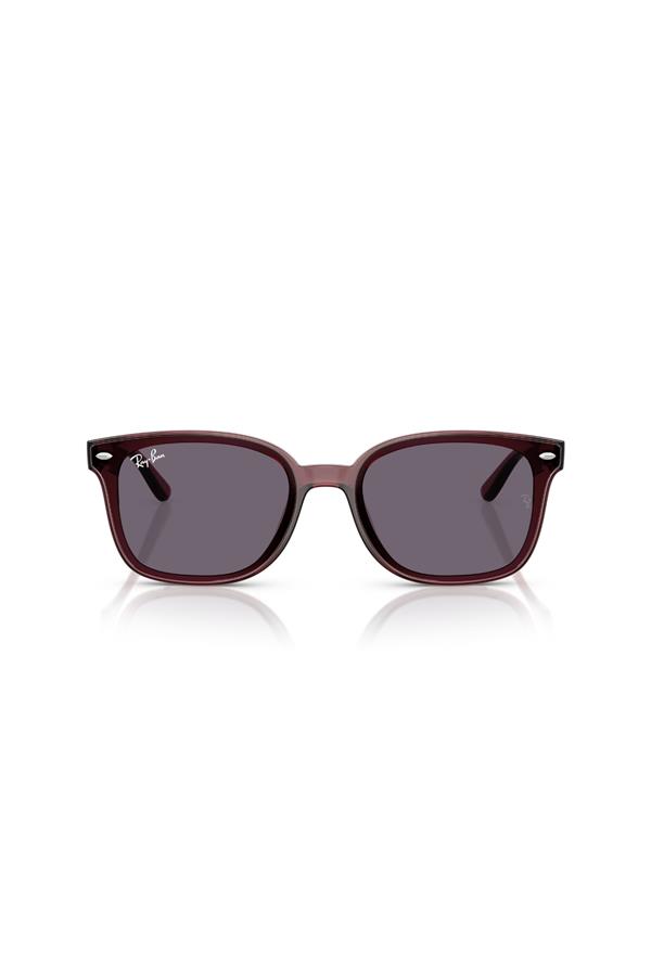 Ray-Ban 0RB 4461D 659373 64 Unisex Güneş Gözlüğü