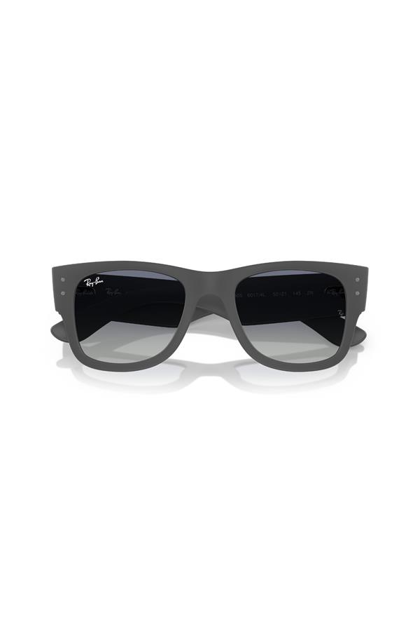Ray-Ban 0RB 4840S 60174L 50 Unisex Güneş Gözlüğü