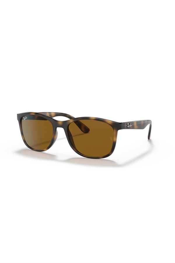 Ray-Ban 0RB 4374 710/33 56 Erkek Güneş Gözlüğü