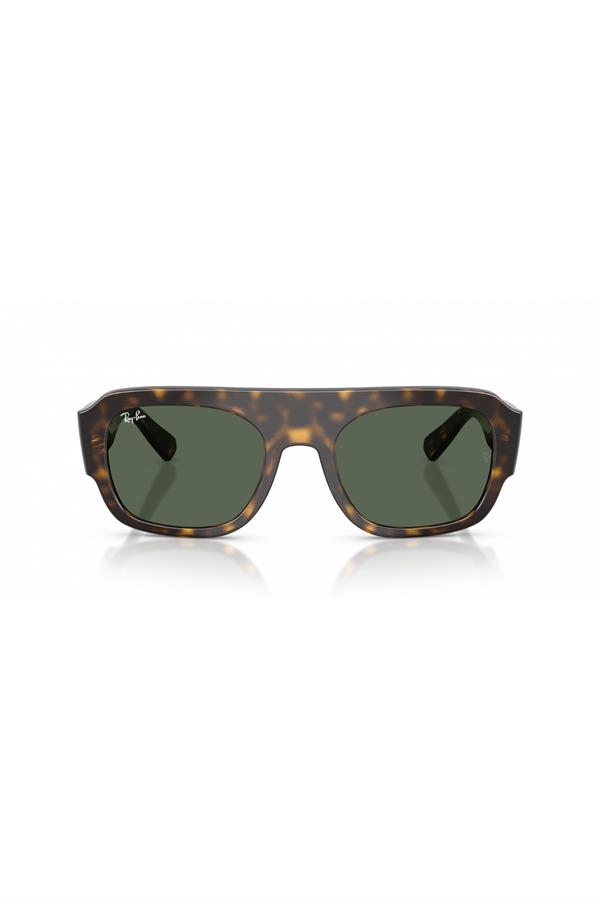 Ray-Ban 0RB 2218 679071 55 Unisex Güneş Gözlüğü