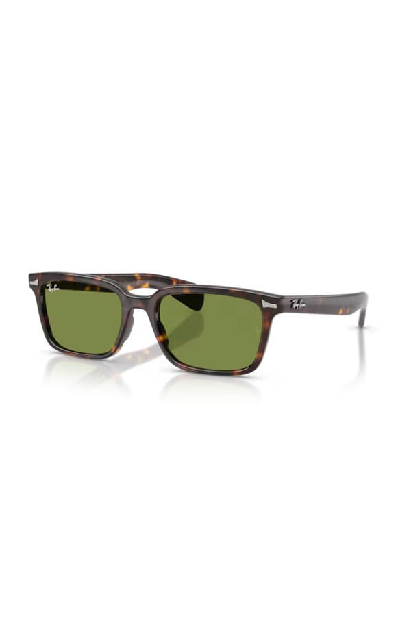 RAY-BAN GUNES 0RB 2234 902/4E 53