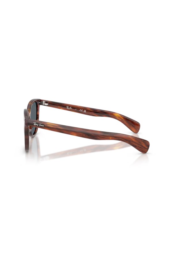 Ray-Ban 0RB 2235 954/R5 53 Unisex Güneş Gözlüğü