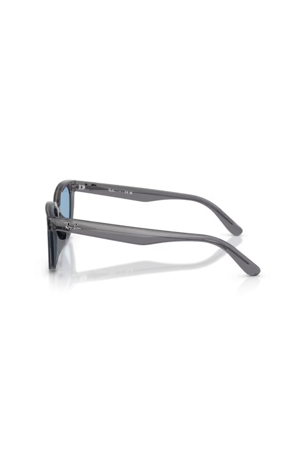 Ray-Ban 0RB 2243D 139972 55 Unisex Güneş Gözlüğü