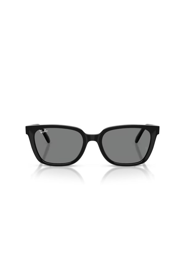 Ray-Ban 0RB 2243D 901/87 55 Unisex Güneş Gözlüğü