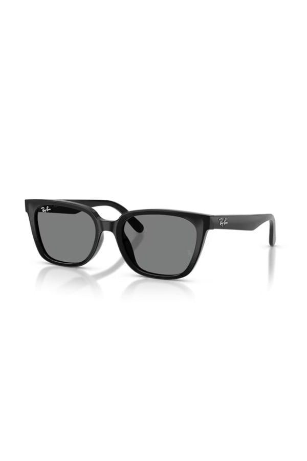 Ray-Ban 0RB 2243D 901/87 55 Unisex Güneş Gözlüğü