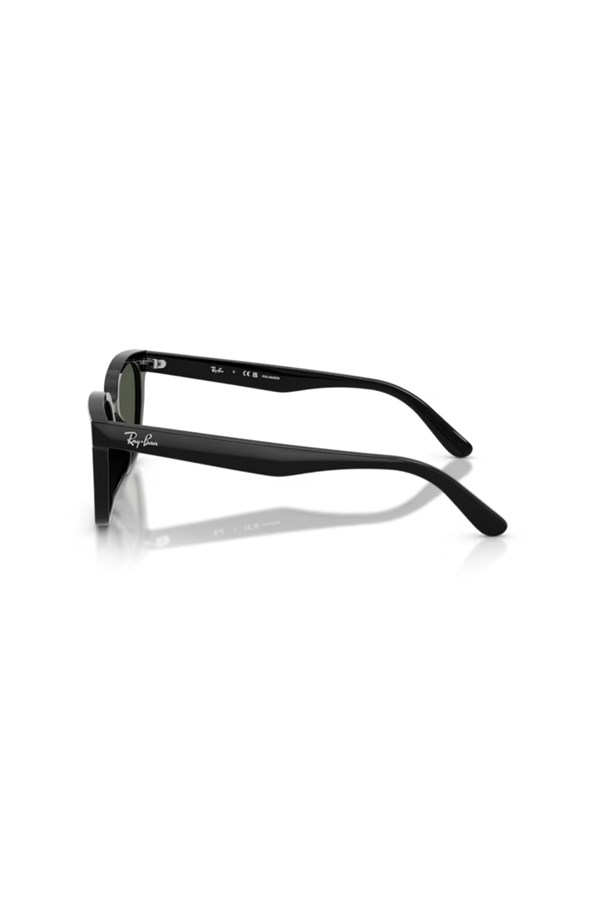 Ray-Ban 0RB 2243D 901/9A 55 Unisex Güneş Gözlüğü