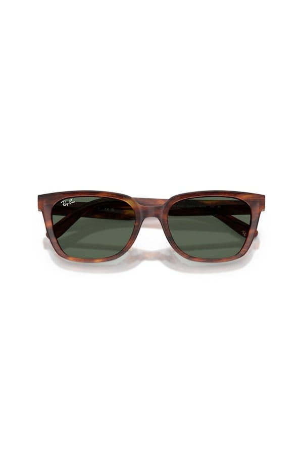Ray Ban 0RB 2243D 954/71 55 Unisex Güneş Gözlüğü