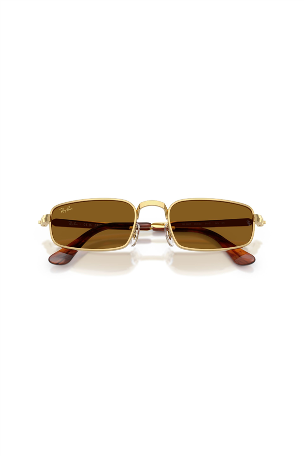 Ray-Ban 0RB 3927 001/33 54 Unisex Güneş Gözlüğü