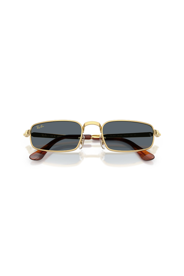 Ray-Ban 0RB 3927 001/R5 54 Unisex Güneş Gözlüğü