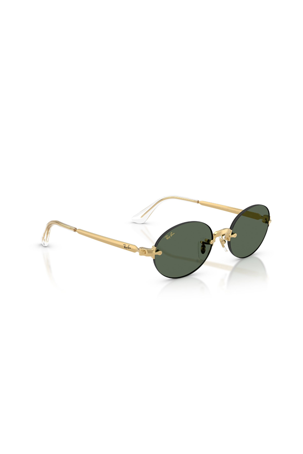 Ray-Ban 0RB 3929 001/71 54 Unisex Güneş Gözlüğü